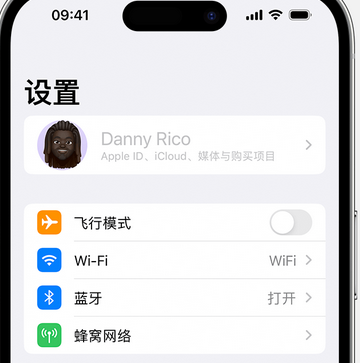 西峡appleID维修服务iPhone设置中Apple ID显示为灰色无法使用 