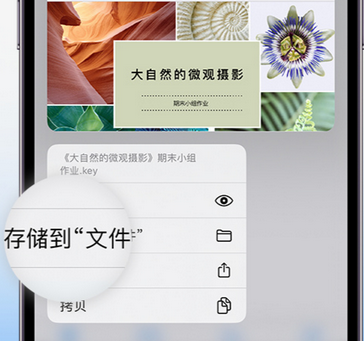 西峡apple维修中心分享iPhone文件应用中存储和找到下载文件