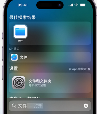 西峡apple维修中心分享iPhone文件应用中存储和找到下载文件 