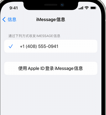 西峡apple维修iPhone上无法正常发送iMessage信息