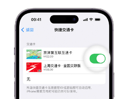 西峡apple维修点分享iPhone上更换Apple Pay快捷交通卡手绘卡面 