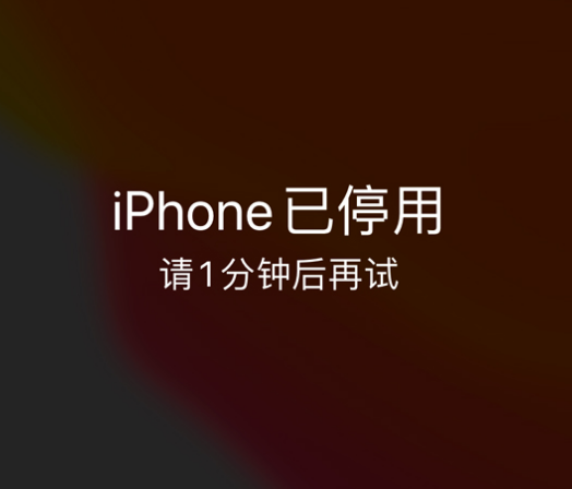 西峡苹果手机维修分享:iPhone 显示“不可用”或“已停用”怎么办？还能保留数据吗？ 