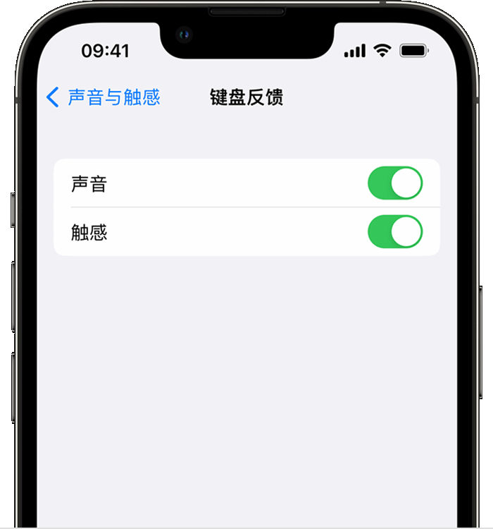 西峡苹果14维修店分享如何在 iPhone 14 机型中使用触感键盘 