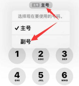 西峡苹果14维修店分享iPhone 14 Pro Max使用副卡打电话的方法 