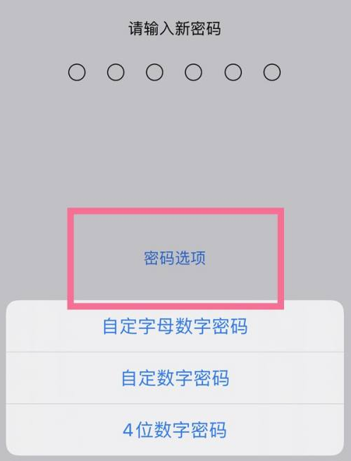 西峡苹果14维修分享iPhone 14plus设置密码的方法 