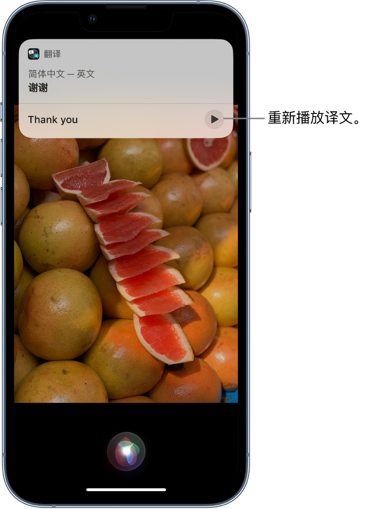 西峡苹果14维修分享 iPhone 14 机型中使用 Siri：了解 Siri 能帮你做什么 