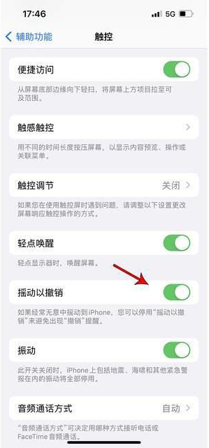 西峡苹果手机维修分享iPhone手机如何设置摇一摇删除文字 