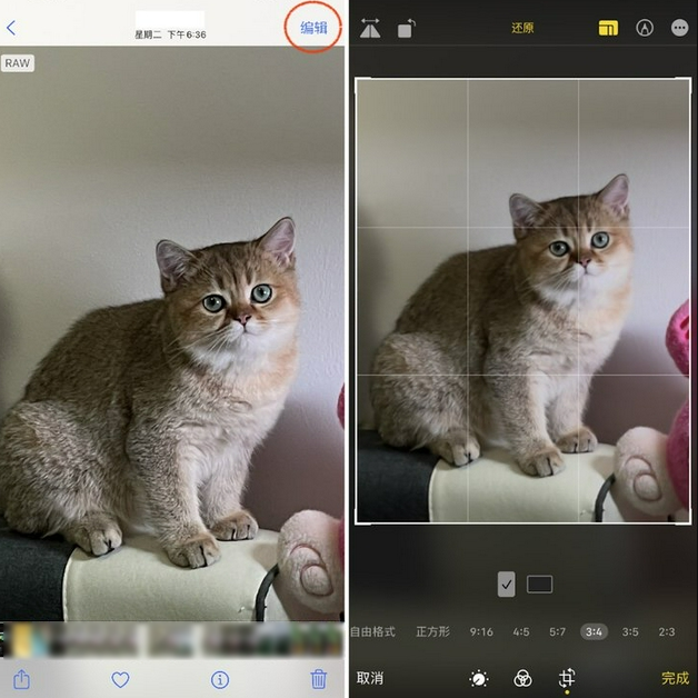 西峡苹果手机维修分享苹果 iPhone 12 Pro 拍照会过度锐化 