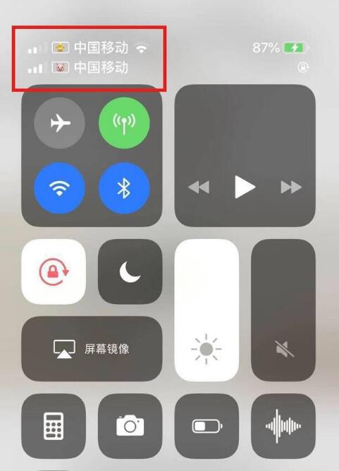 西峡苹果手机维修分享为 iPhone 12 双卡设置标签 