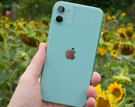 西峡苹果维修点分享iPhone 11锁屏密码认知与使用科普 